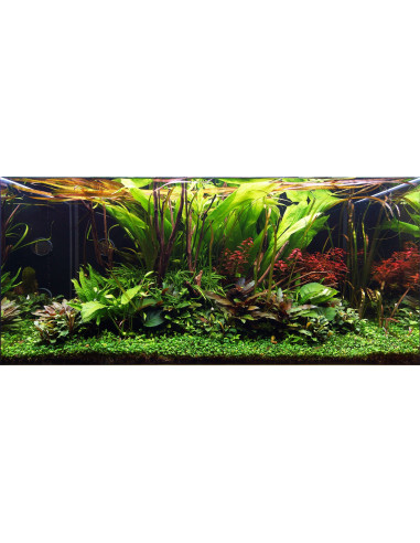 Layout 108 (250 L)