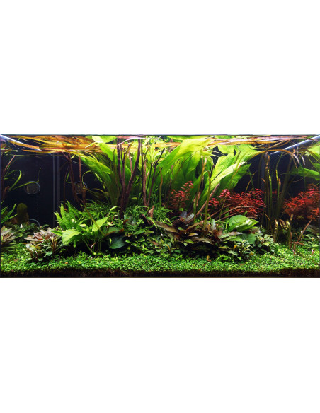 Layout 108 (250 L)