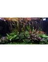 Layout 108 (250 L)
