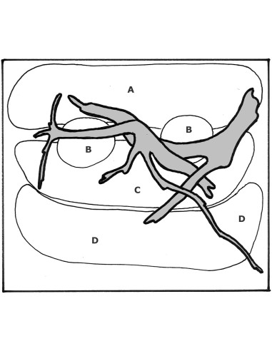 Layout 66 (48 L)