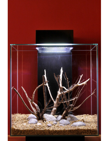 Tropica Set Layout 58 (46L)