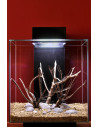 Tropica Set Layout 58 (46L)