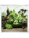 Tropica Layout 43 Set