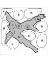 Tropica Layout 43 Set