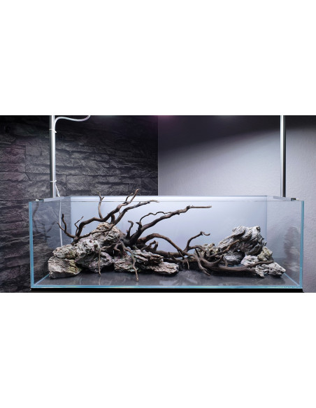 Tropica Lot Intermédiaire - Layout 120 (70L)