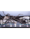 Lot Tropica Layout 120 (70L)