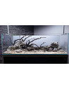 Lot Tropica Layout 120 (70L)