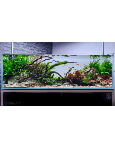 Tropica Lot Intermédiaire - Layout 120 (70L)
