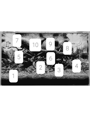 Lot Tropica Layout 122 (110L)