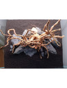 Lot Tropica Layout 122 (110L)