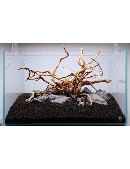 Lot Tropica Layout 122 (110L)