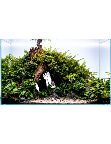Lot Tropica Layout 124 (54L)