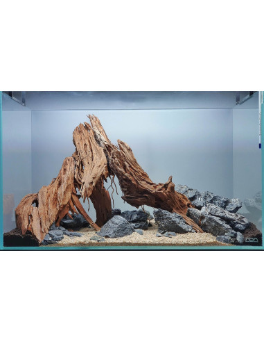 Lot Tropica Layout 124 (54L)