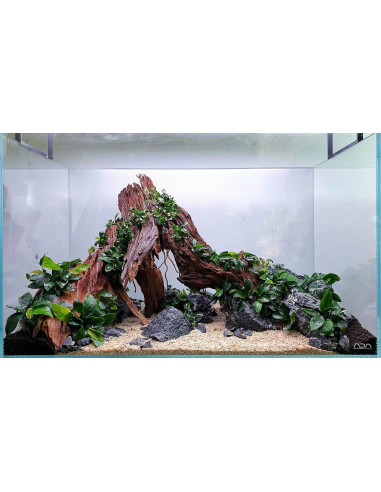 Lot Tropica Layout 124 (54L)