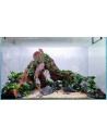 Lot Tropica Layout 124 (54L)