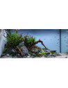 Lot Tropica Layout 1454 (350L)