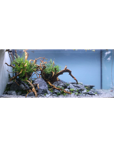 Lot Tropica Layout 1454 (350L)