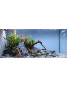 Lot Tropica Layout 1454 (350L)