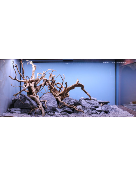 Lot Tropica Layout 1454 (350L)