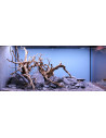 Lot Tropica Layout 1454 (350L)