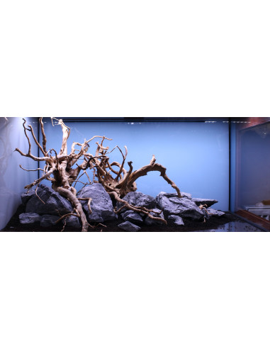 Lot Tropica Layout 1454 (350L)
