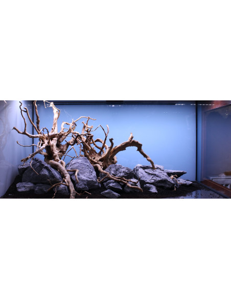 Lot Tropica Layout 1454 (350L)
