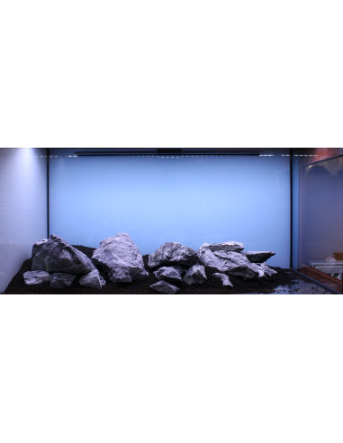 Lot Tropica Layout 1454 (350L)