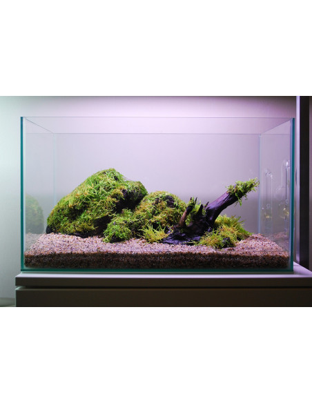 Tropica Set Layout 104 (28L)