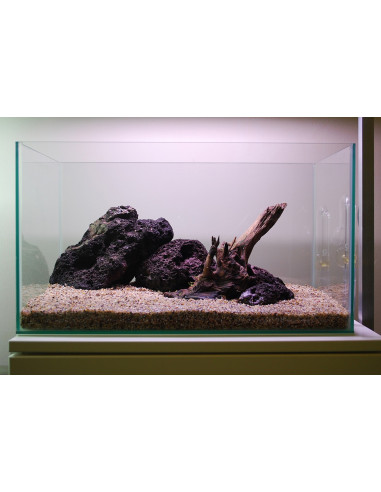 Tropica Set Layout 104 (28L)