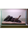 Tropica Set Layout 104 (28L)