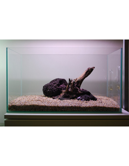 Tropica Set Layout 104 (28L)