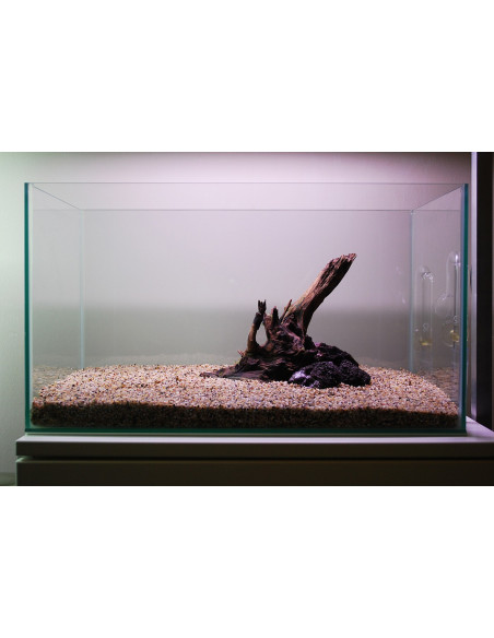Tropica Set Layout 104 (28L)