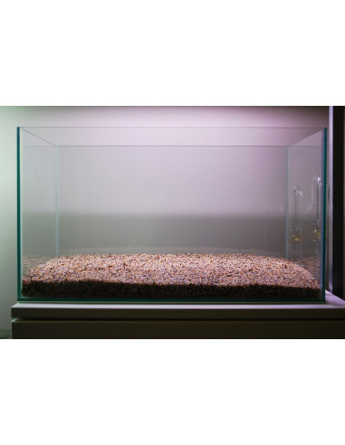 Tropica Lot Débutant - Layout 104 (28L)
