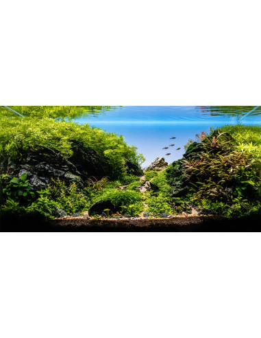 Tropica L126