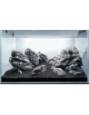 Lot Tropica L126