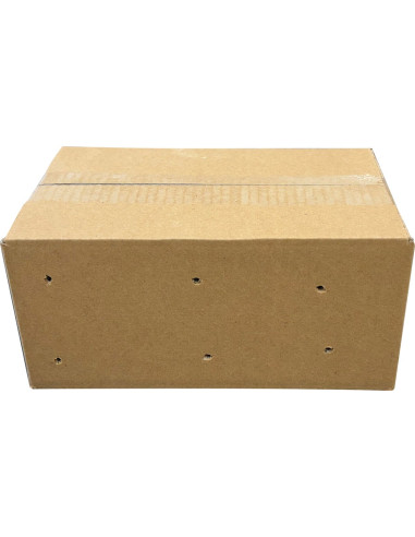 Criquets Migrateurs L 100pcs (SUBADULTES)