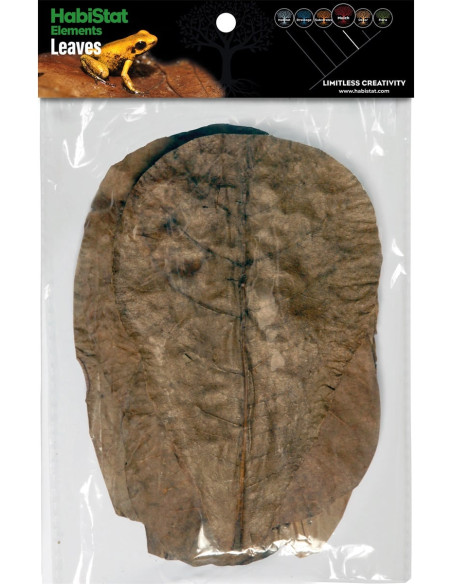 Feuilles de catappa HabiStat pour terrarium - Aquabota