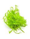 Najas guadalupensis "Guppy Grass".