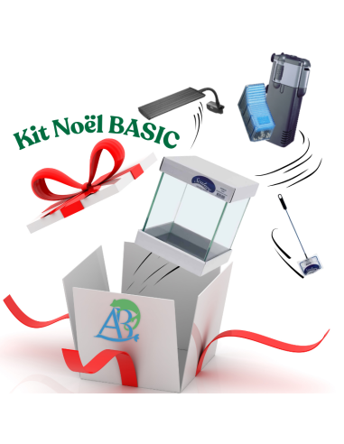 Kit Noël Basic - AquaBota
