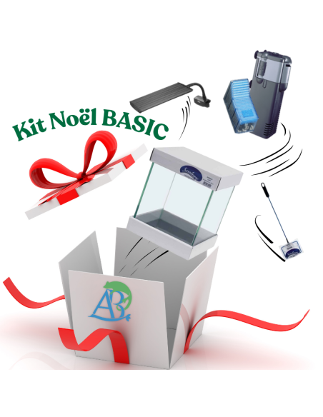 Kit Noël Basic - AquaBota