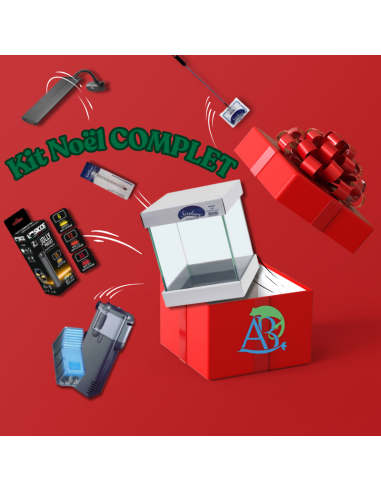 Kit Noël Complet AquaBota