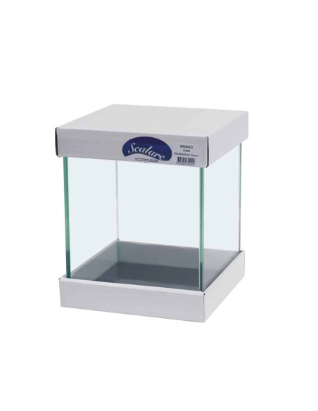 Cuve 30×30×35 cm – verre 5 mm – 31 L