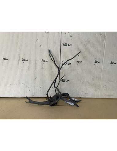 Dark Spider Wood M 31-40 Cm 4000