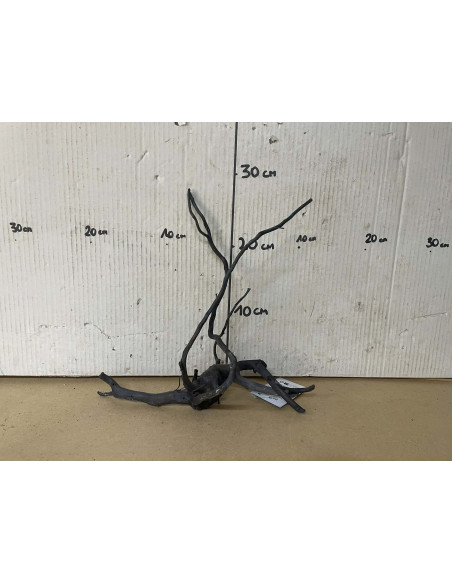 Dark Spider Wood M 31-40 Cm 4000