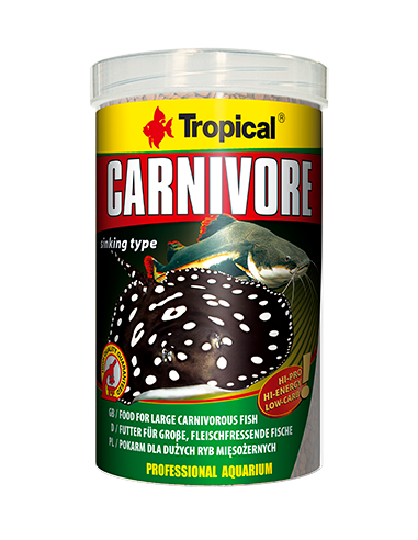 Carnivore TROPICAL - 1
