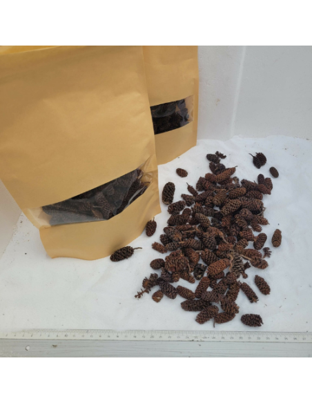 Cones d’aulmes 50gr sous kraft