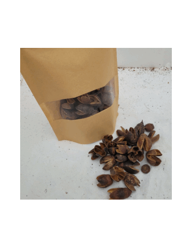 Cosses de bakuli +/-50gr sous kraft