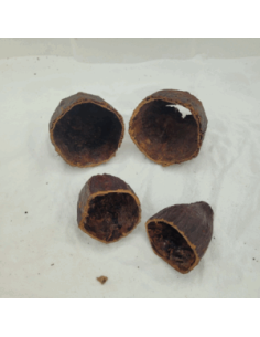 Demi cabosses de cacao
