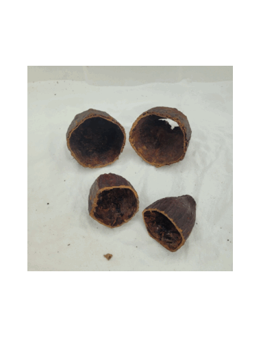 Demi cabosses de cacao