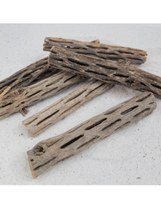 Ecorce de Chola 14-15cm diam 3cm